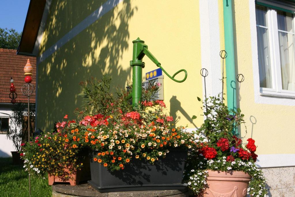 Ferienwohnung Gerersdorf Gerersdorf bei Güssing Exterior foto